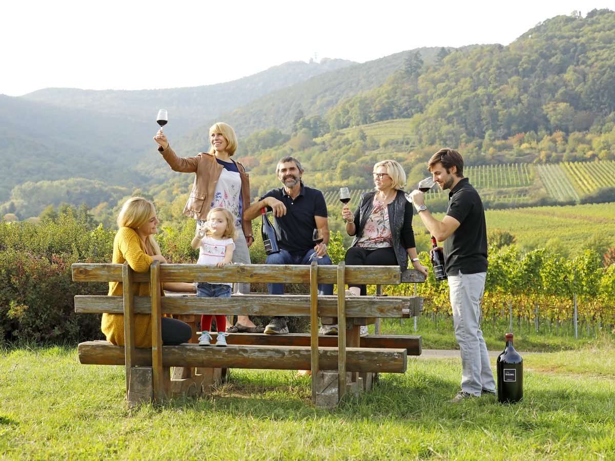 Weinprobe Maikammer: Weinberge des Weinguts Stachel unterhalb des Hambacher Schlosses
